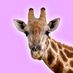 Ian Roberts