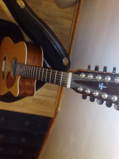 Solid Mahogany cort 12 string