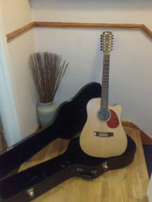 Solid Mahogany cort 12 string