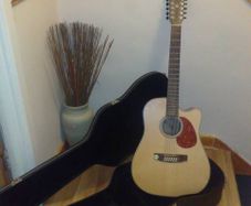 Solid Mahogany cort 12 string
