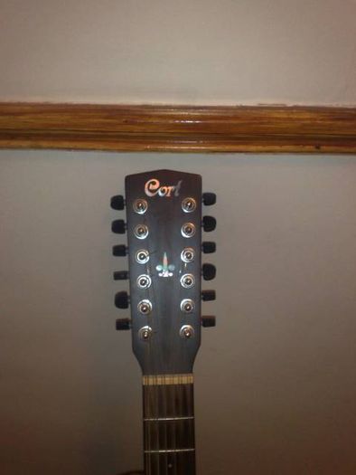 Solid Mahogany cort 12 string