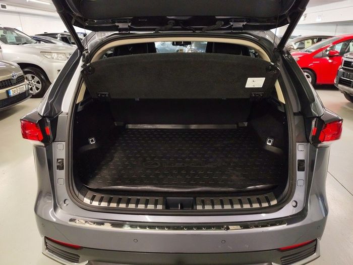 Lexus NX 300h 2020