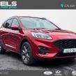 Ford Kuga 2022