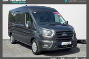 Ford Transit 2023