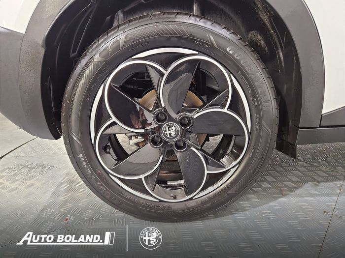 Alfa Romeo Junior 2026