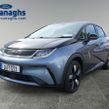 BYD DOLPHIN 2024
