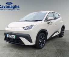 BYD DOLPHIN SURF 2026