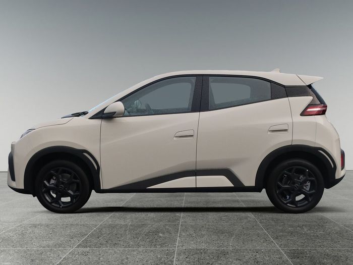BYD DOLPHIN SURF 2026