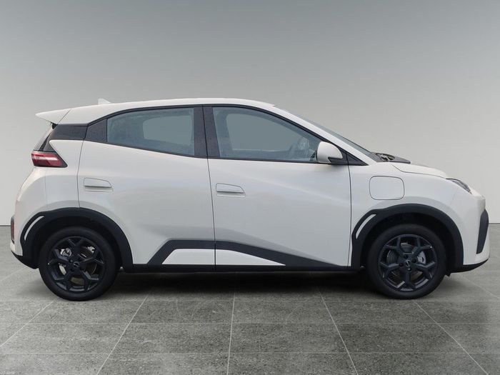 BYD DOLPHIN SURF 2026