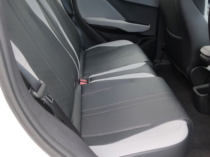 BYD DOLPHIN SURF 2026