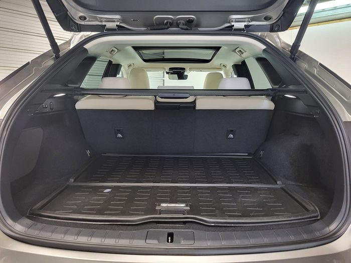 Lexus RX 2025