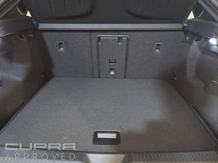 Cupra Tavascan 2025