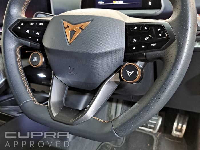Cupra Tavascan 2025