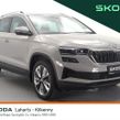 Skoda Karoq 2024