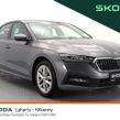 Skoda Octavia 2024