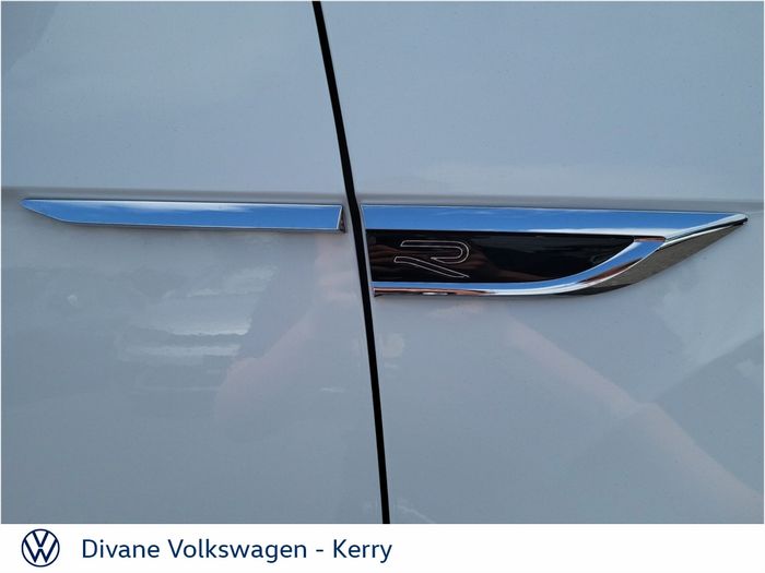 Volkswagen T-Roc 2024