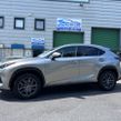 Lexus NX 2018