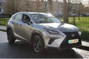Lexus NX 300h 2019