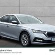 Skoda Octavia 2021