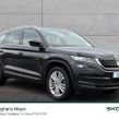 Skoda Kodiaq 2020