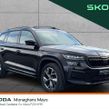 Skoda Kodiaq 2024