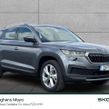 Skoda Kodiaq 2022