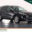Ford Kuga 2022