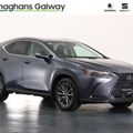 Lexus NX 300h 2023