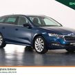 Skoda Octavia 2022