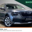 Skoda Kamiq 2023