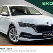 Skoda Octavia 2024