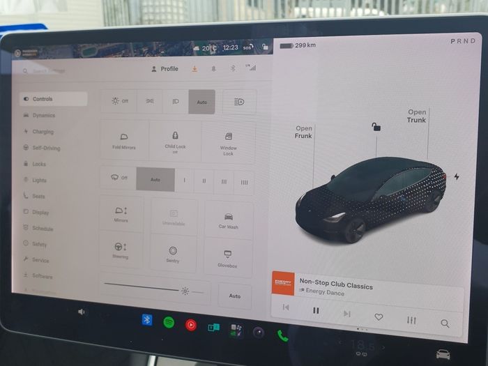 Tesla Model 3 2019