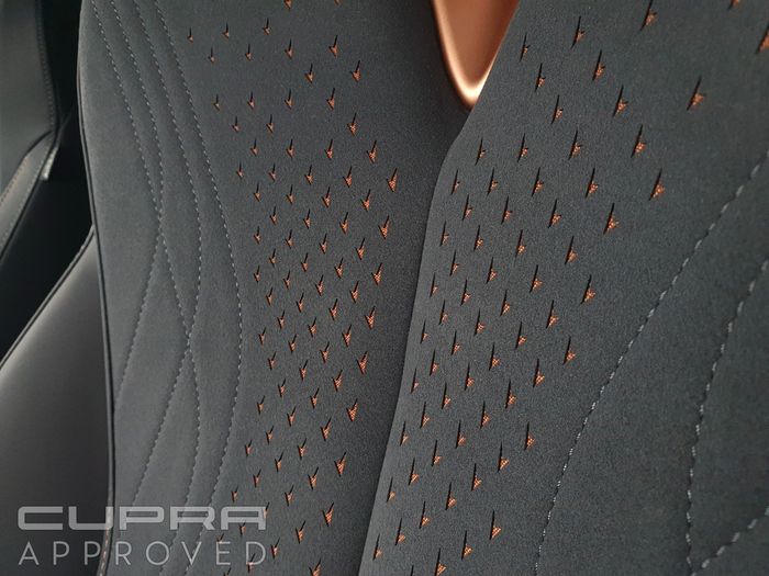 Cupra Tavascan 2026