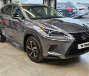 Lexus NX 2018
