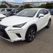 Lexus NX 300h 2020