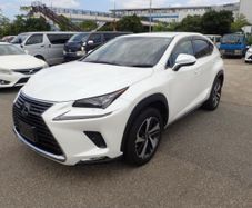 Lexus NX 300h 2020
