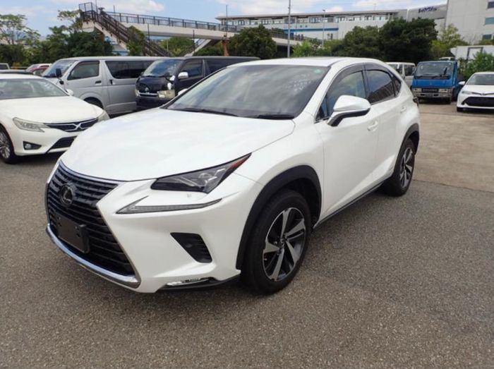 Lexus NX 300h 2020