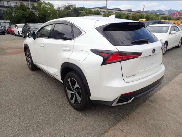 Lexus NX 300h 2020