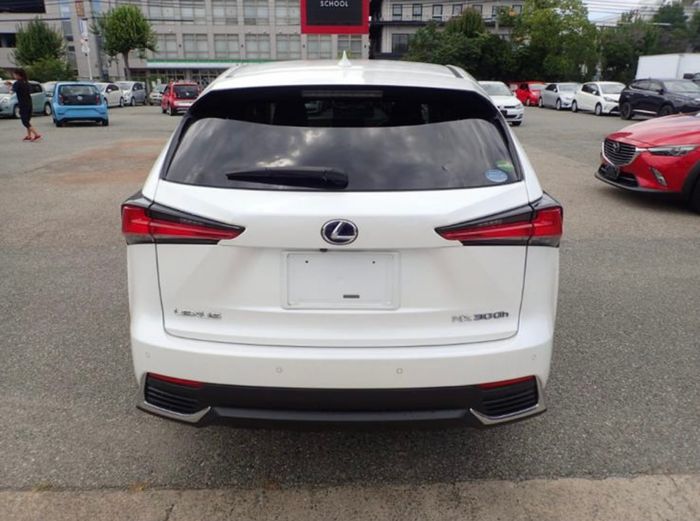 Lexus NX 300h 2020