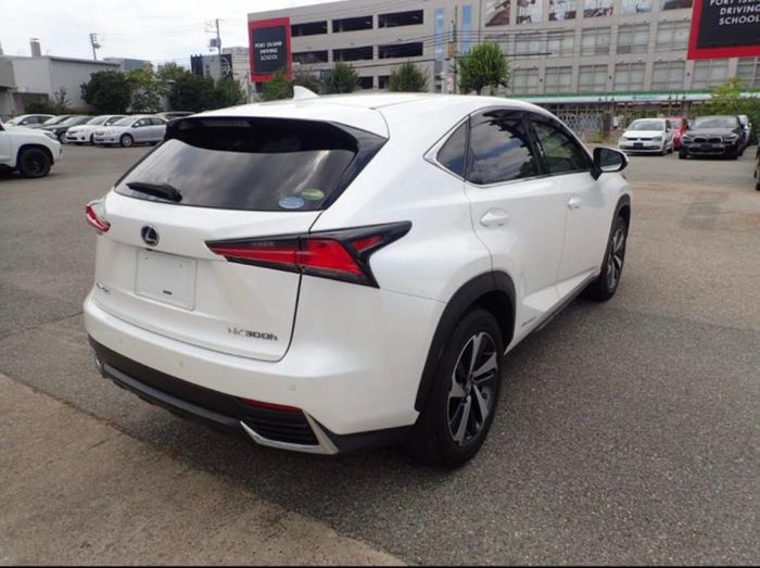 Lexus NX 300h 2020