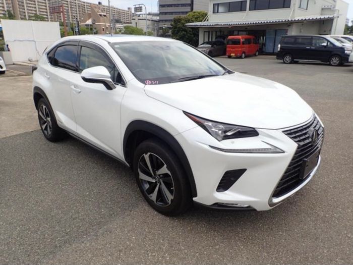 Lexus NX 300h 2020