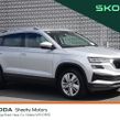 Skoda Karoq 2024