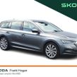Skoda Octavia 2023