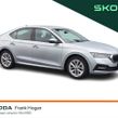 Skoda Octavia 2022