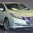 Nissan Leaf 2020