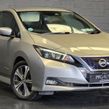 Nissan Leaf 2019