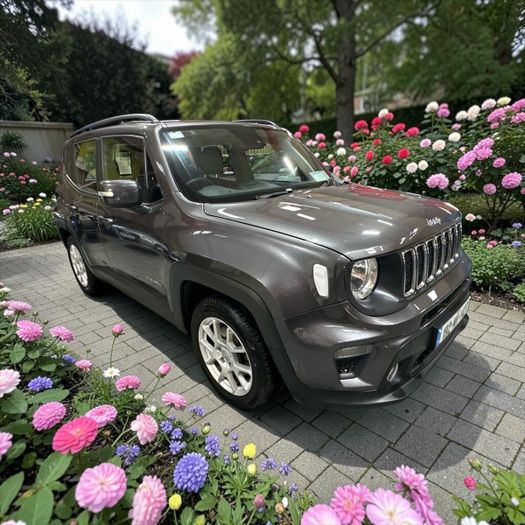 Jeep Renegade 2019