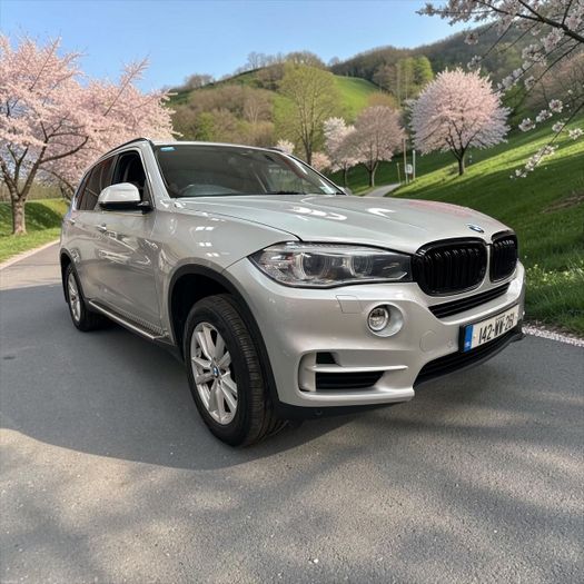 BMW X5 2014