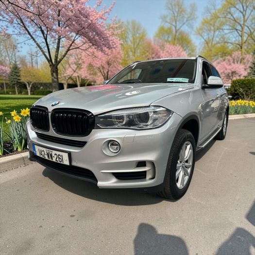 BMW X5 2014