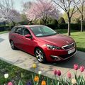 Peugeot 308 2016